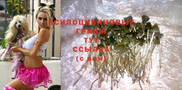 COCAINE Елабуга