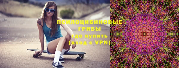 прущая мука Ельня