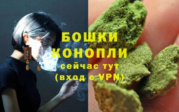 метадон Елизово