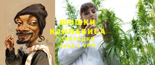метадон Елизово
