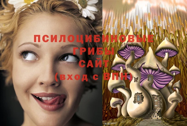 COCAINE Елабуга