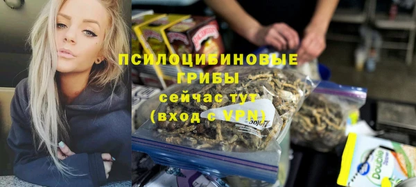 прущая мука Ельня