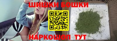 МДПВ Бийск