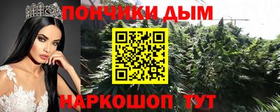 МДПВ Бийск