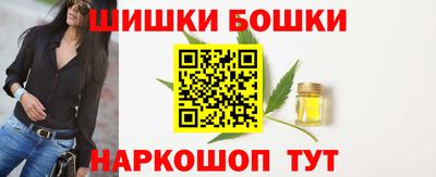 МДПВ Бийск