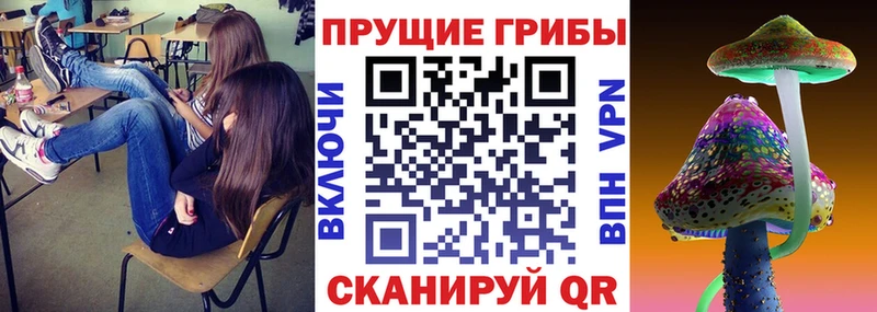 Псилоцибиновые грибы GOLDEN TEACHER Избербаш