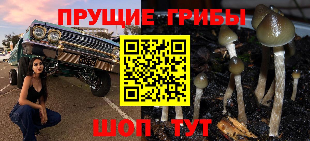 Псилоцибиновые грибы Magic Shrooms Избербаш