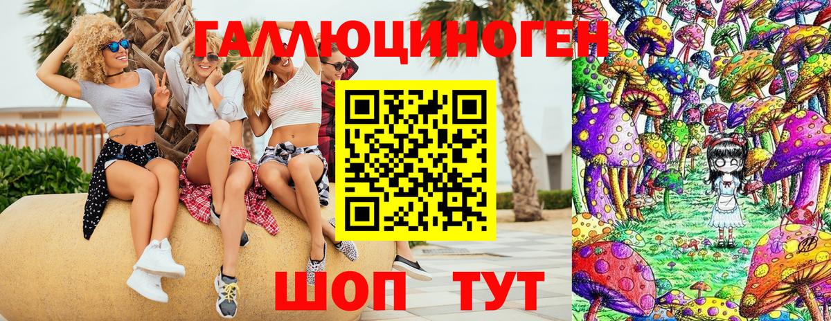 закладка  Избербаш  Галлюциногенные грибы GOLDEN TEACHER  Галлюциногенные грибы MAGIC MUSHROOMS 