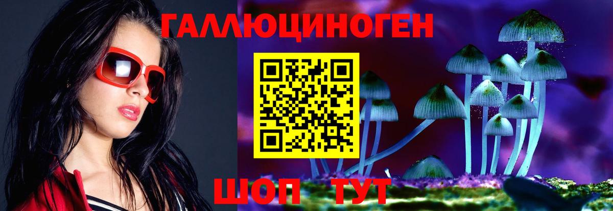 Псилоцибиновые грибы Psilocybine cubensis  Вход с VPN  Избербаш 