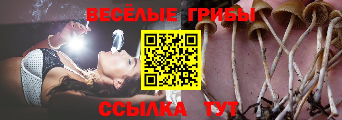 Псилоцибиновые грибы MAGIC MUSHROOMS Избербаш